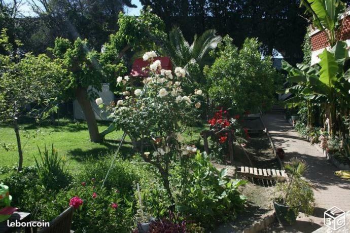 Haras Des Arcades Βίλα Περπινιάν Εξωτερικό φωτογραφία